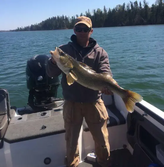 Dore Lake Michel Point Campground Amazing Fishing and Camping