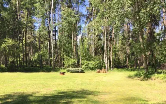 Dore Lake Michel Point Campground Amazing Fishing and Camping